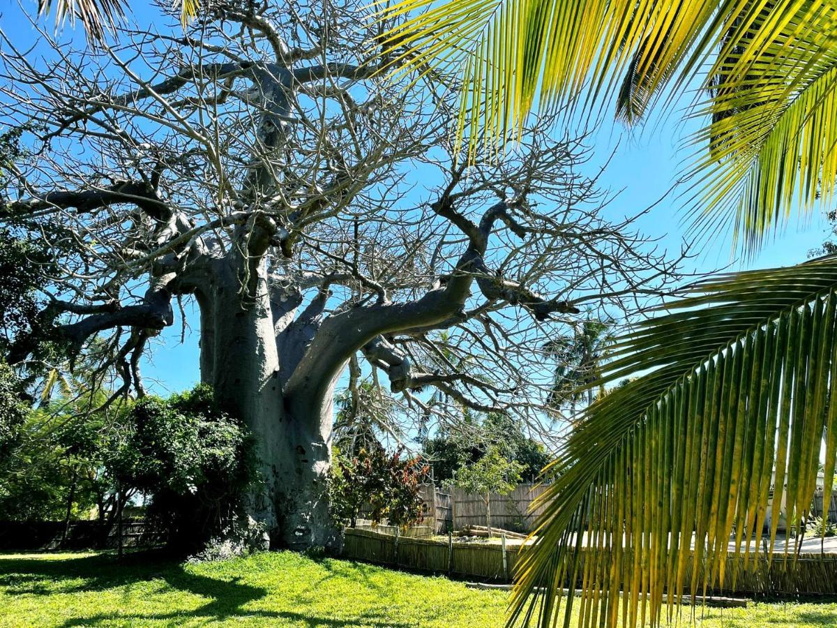 Baobab Beach Vilanculos Exteriör bild